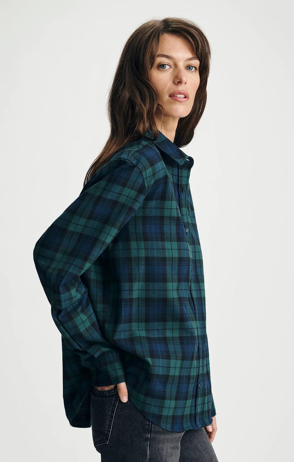 Navy Check